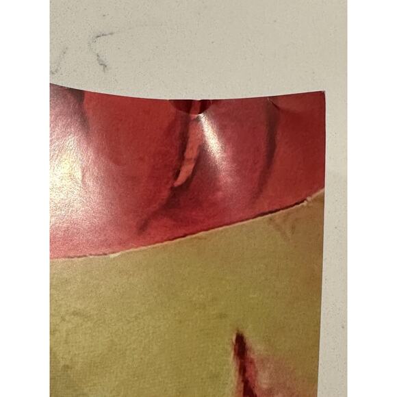 Very Rare Maya Hawke Signed Concert Gig Poster Stranger Things Robin - Picture 14 of 16